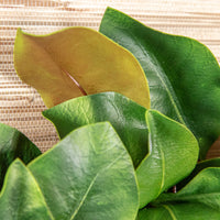 Magnolia Wreath - Medium