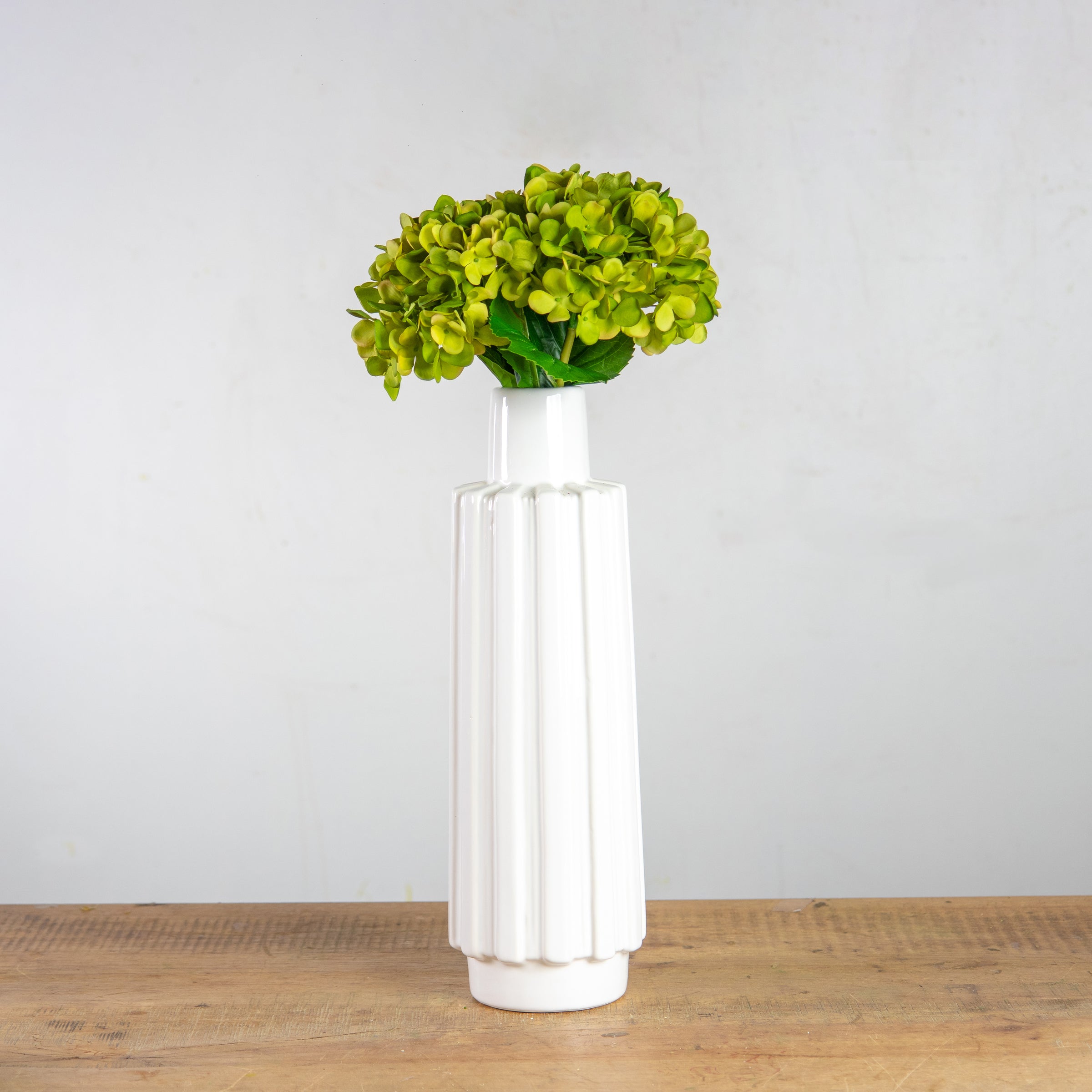 Green Mophead Hydrangea