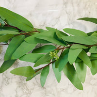 Eucalyptus Garland