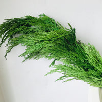 White Cedar Garland