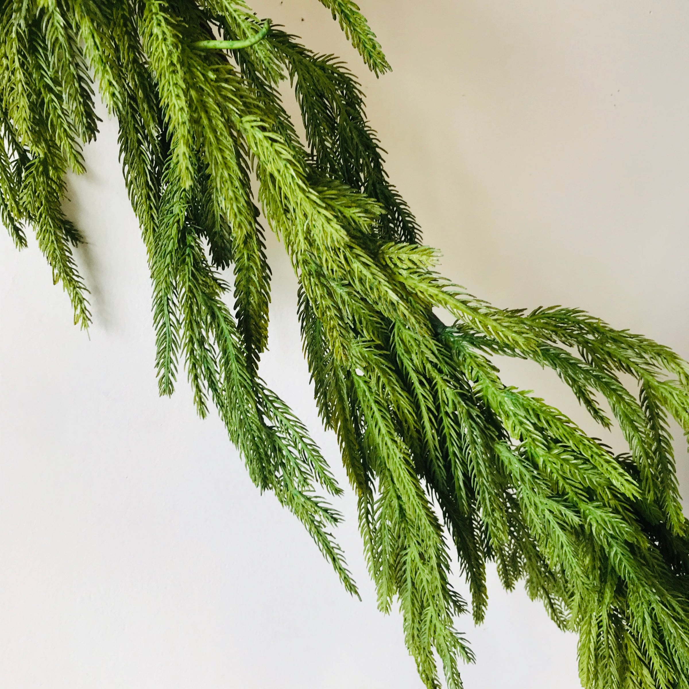 Fir Garland - Real Touch, 6'