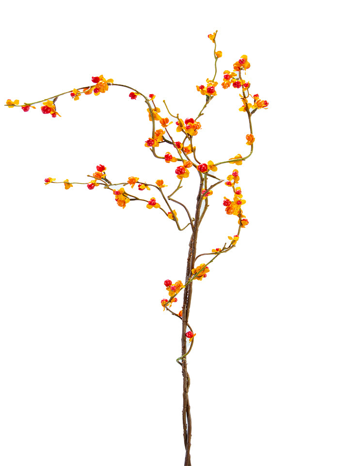 Bitter Sweet Branch 41"