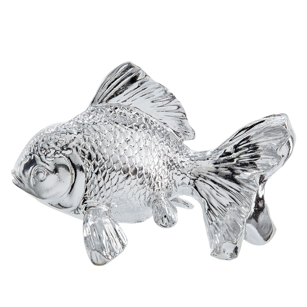 Mr. Limpet Fish