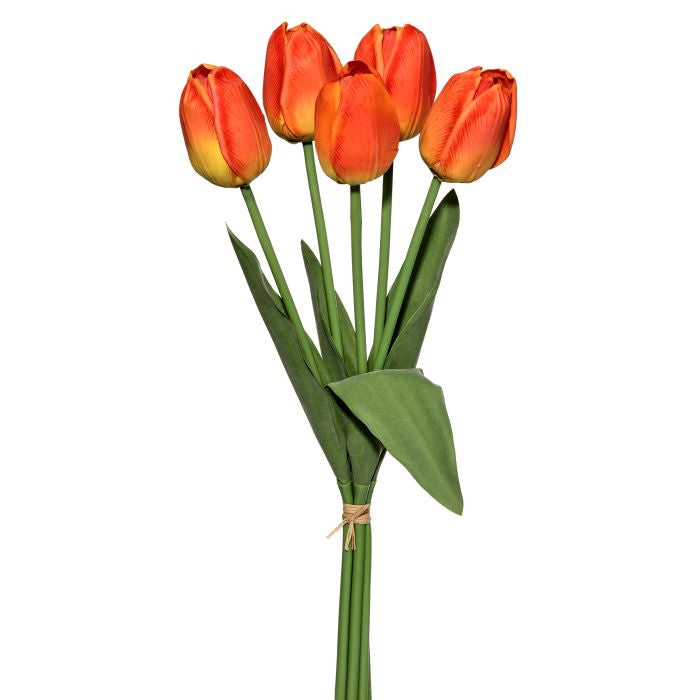 Dutch Tulip Bundle 20" Orange