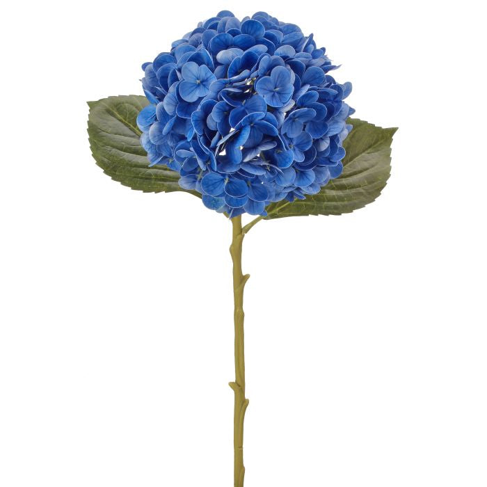Assorted Hydrangea Floral Arrangement in a Clear Glass Vase