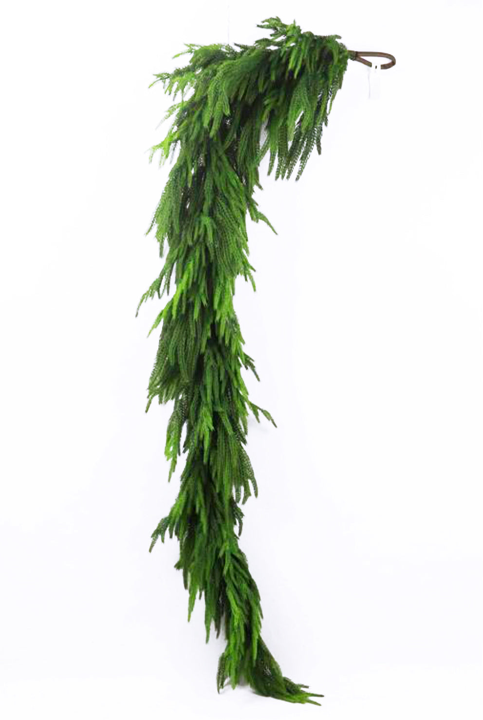 Norfolk Pine Garland 71"