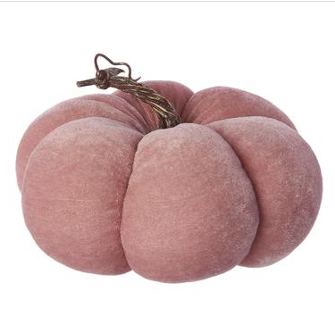 Velvet Pumpkin