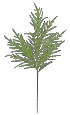 Norfolk Pine Spray 36"