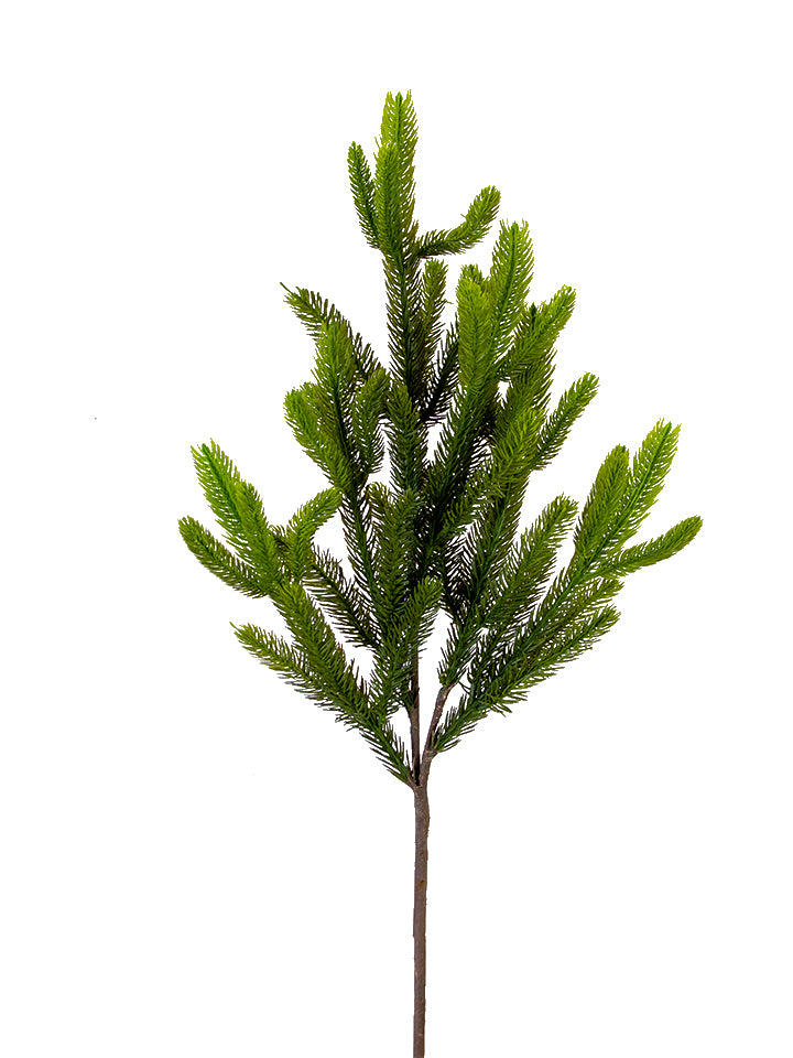 Douglas Fir Branch 31"