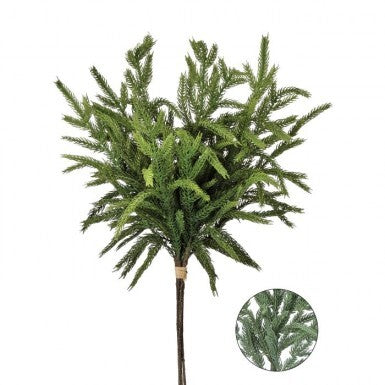Norfolk Pine Bundle 17"