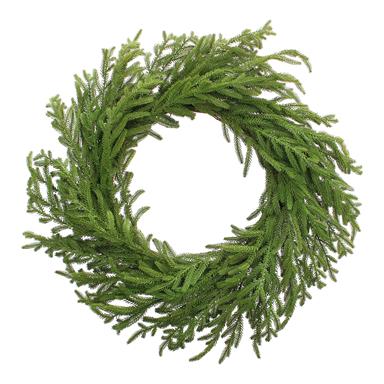 Norfolk Pine Wreath 23"