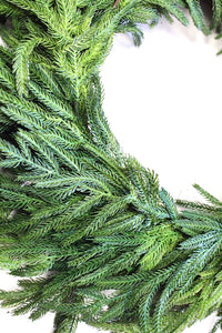 Fir Pine Wreath - 24"