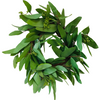 Small Eucalyptus Wreath - Tyler