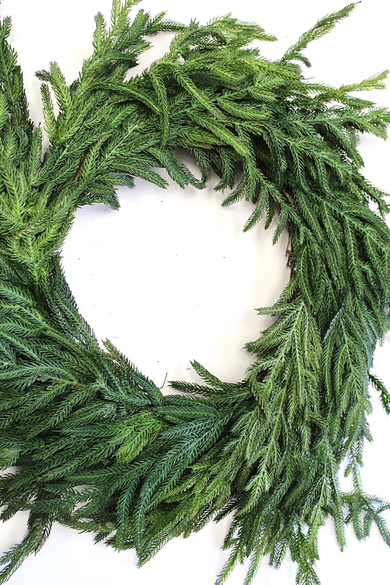 Fir Pine Wreath - 24"