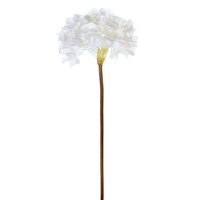 Garden Hydrangea - White