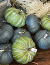 Green Pumpkin