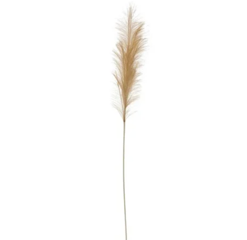 Faux Pampas Grass Plume - Wheat