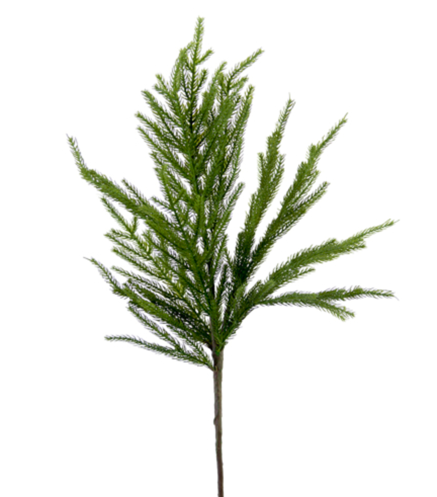 FIR SPRAY - 30"