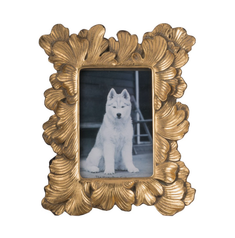 Duchess Picture Frame - 8x11