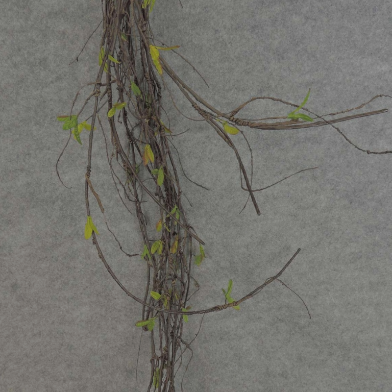 Twig with Green Leaves Garland