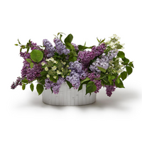 FAUX BAMBOO OVAL CENTERPIECE / CACHEPOT WITH HANDLES