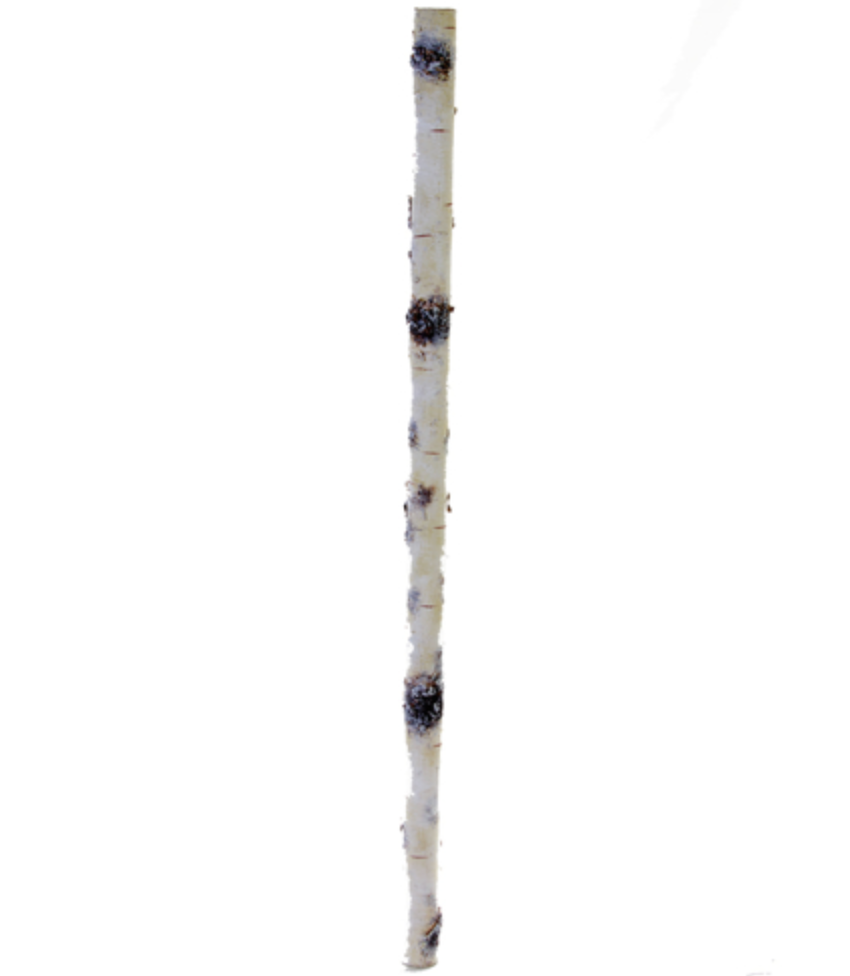 Birch Stick