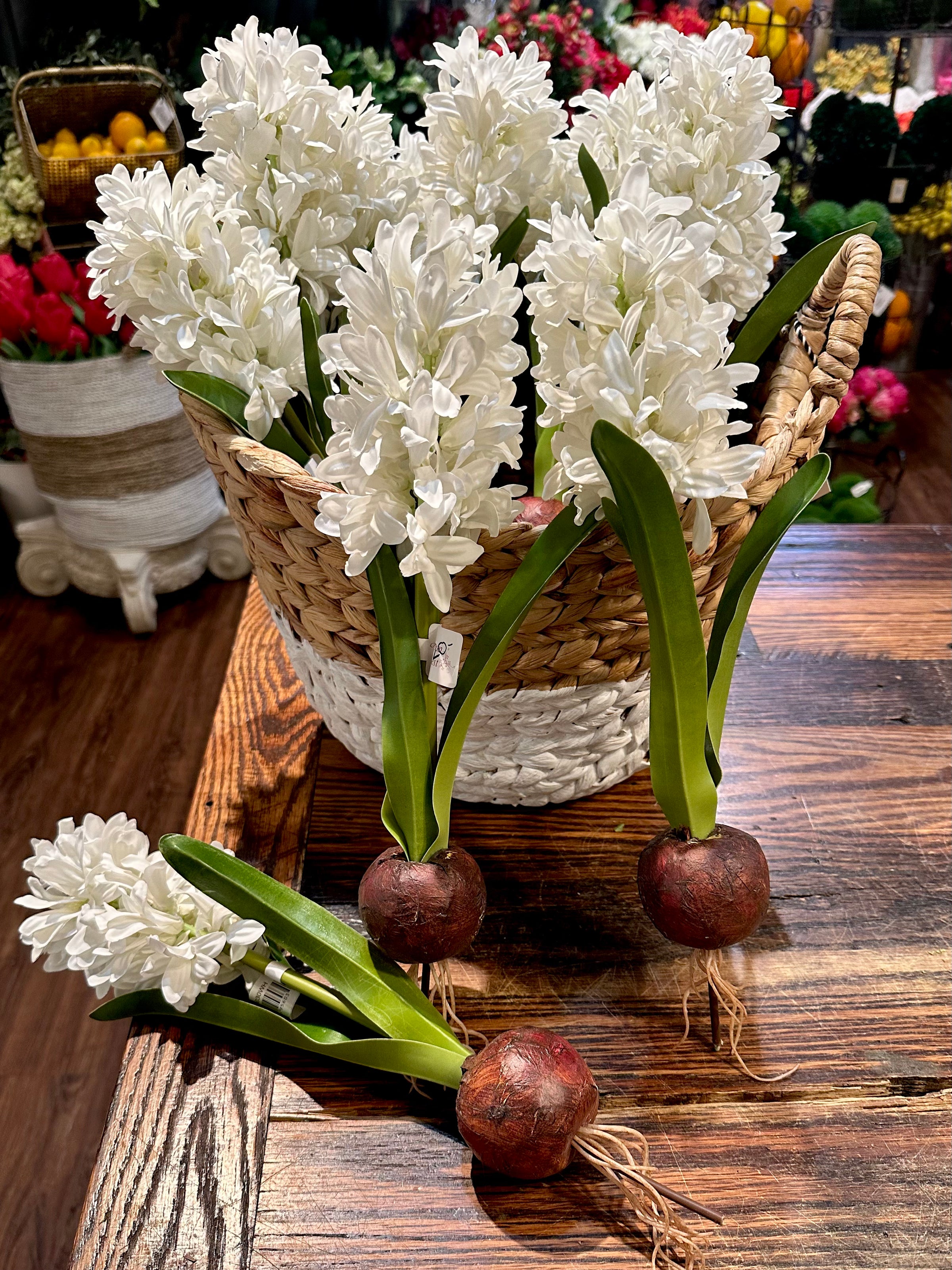 Hyacinth Bulb - White 13"